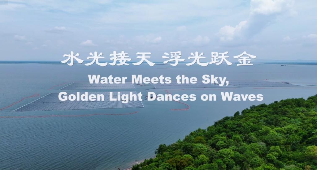 尊龙凯时人生就是搏(中国最佳)有限公司-官网